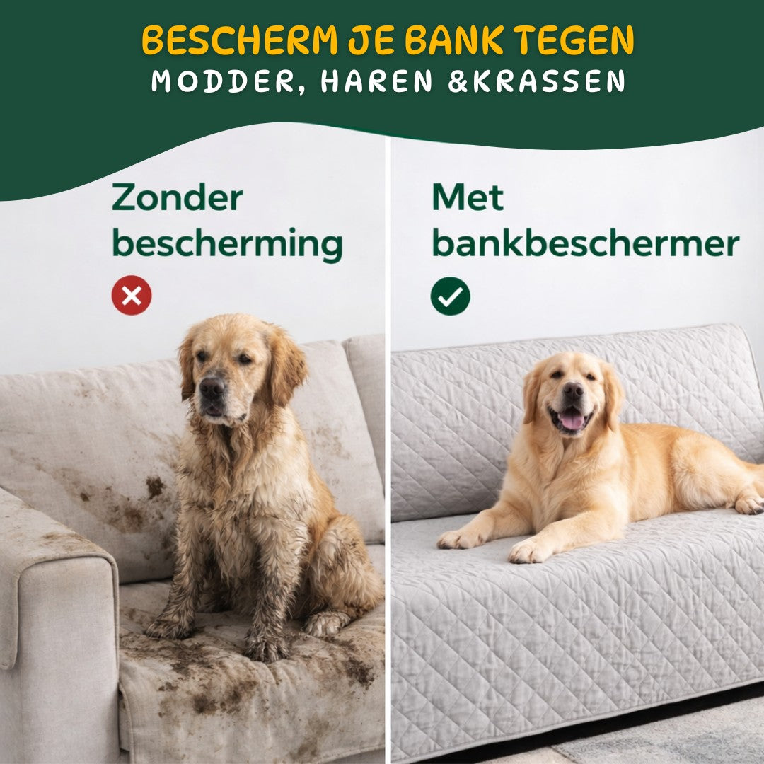 Hond op bank zonder en met waterdichte bankbeschermer