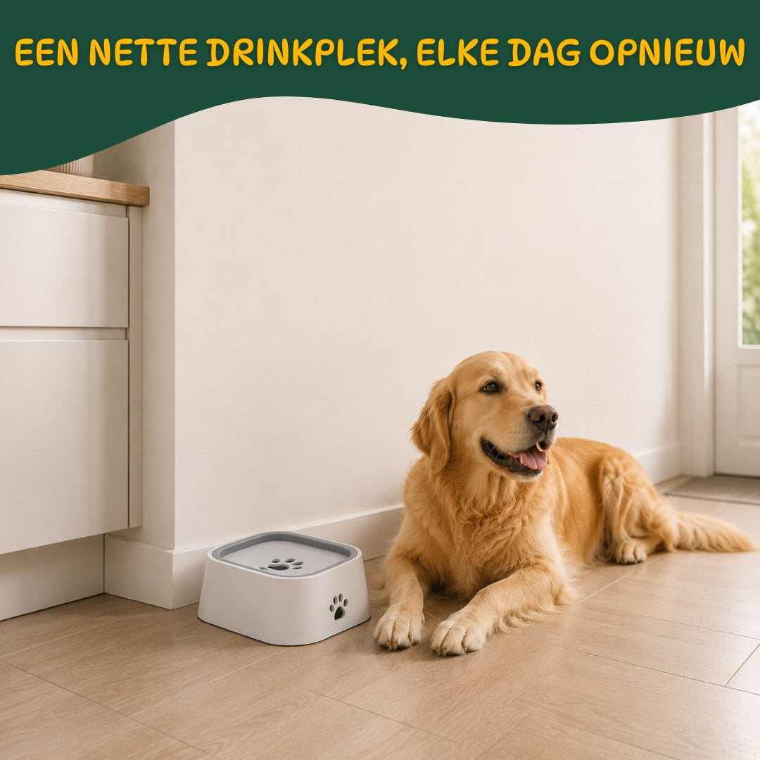 Anti-Knoei Drinkbak voor Honden - Houd Je Vloer Droog
