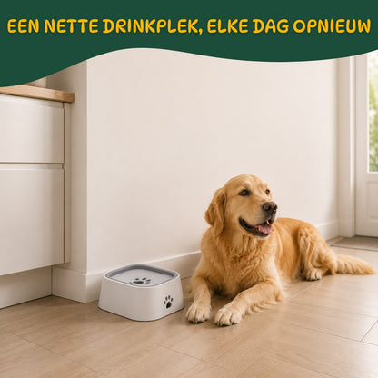 Anti-Knoei Drinkbak voor Honden - Houd Je Vloer Droog