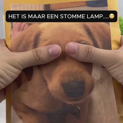 GlowMemory – Leg je mooiste herinneringen vast in stijl✨