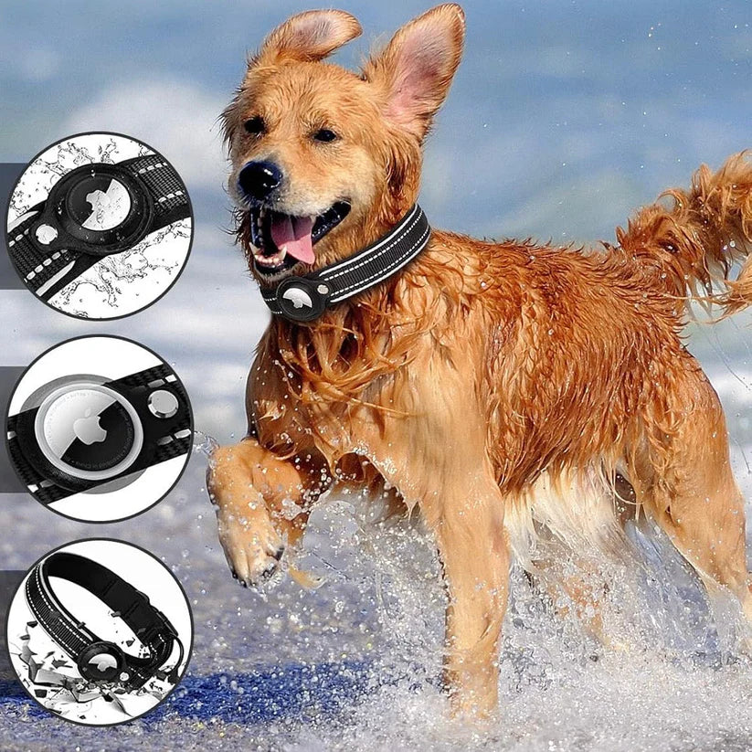 track_halsband_hond_zwart waterbestendig zodat je hond zonder problemen in het water kan spelen